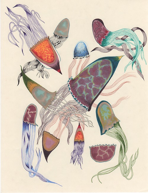 tumblr_mxevy39GUt1s65tuwo1_500