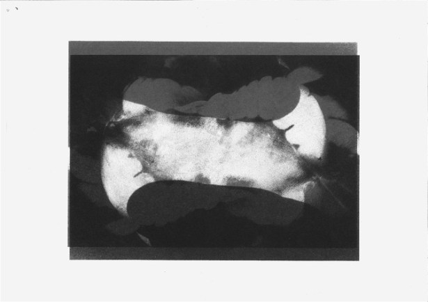 SCAN20141007171142dobblrd_670