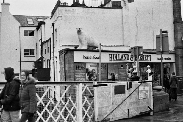 Autosave-File vom d-lab2/3 der AgfaPhoto GmbH