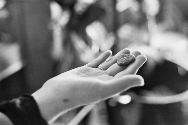 Autosave-File vom d-lab2/3 der AgfaPhoto GmbH